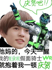 假面骑士时王之庄沃