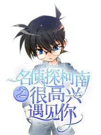 名侦探柯南之很高兴遇见你