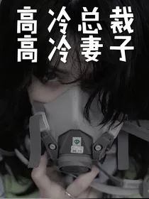 高冷总裁和高冷的妻子