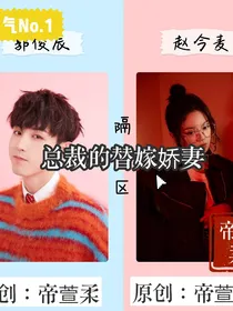 总裁的替嫁娇妻啊