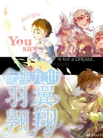 查理九世羽翼翱翔