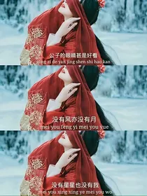 如果可以不爱你