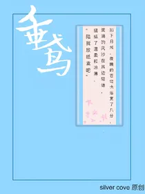 王者荣耀：垂鸢