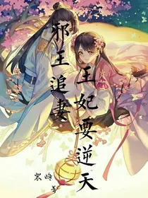 邪王追妻王妃要逆天