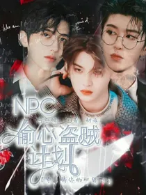 NPC：偷心盗贼计划