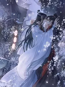快穿之陈情_虚空兽