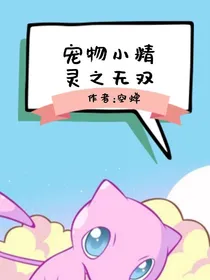 宠物小精灵之无双