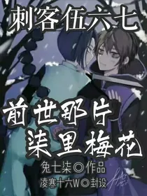 刺客伍六七之前世那片柒里梅花