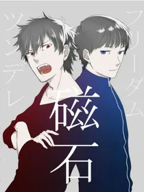 S磁石N