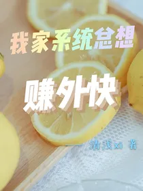 我家系统总想赚外快
