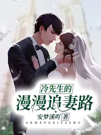 冷先生的漫漫追妻路