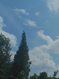 尘于落雁