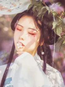 妃笑倾长安