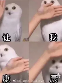 梦境之间