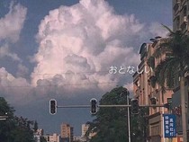 跌跌撞撞遇见你