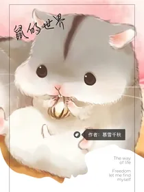 鼠的世界