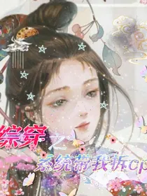 综穿之系统带我拆cp