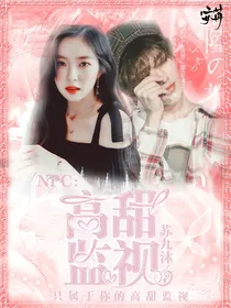 NPC：高甜监视