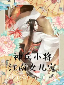 神兵小将之江南儿女家