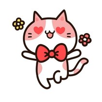 小智是神兽