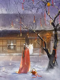 婢女攻略