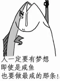 公主是只咸鱼精