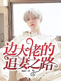 边大佬的追妻之路