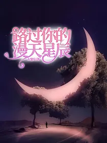 路过你的漫天星辰