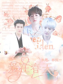 EXO之爱在春天（又名微微）