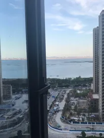 我爱上了欲夫人