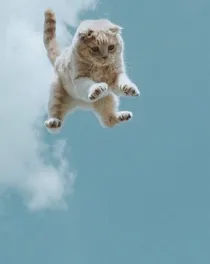 我们好好为自己的喜欢而努力呗