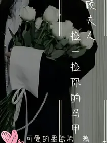 顾夫人，捡一捡你的马甲吧