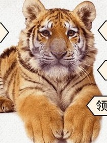 奇怪的箱子