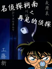 名侦探柯南之再见的侦探