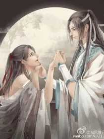魏无羡蓝忘机重生