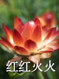 炫幻传奇