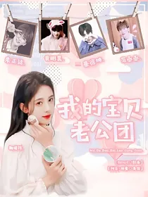 NPC：我的宝贝老公团