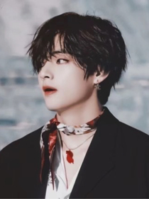 BTS：王子与公主
