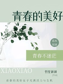 青春的美好z