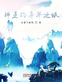 神王的异界之旅
