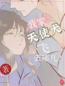 我家天使犬飞去哪儿？