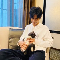 肖战：我家猫主子