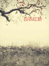 白雪红轿