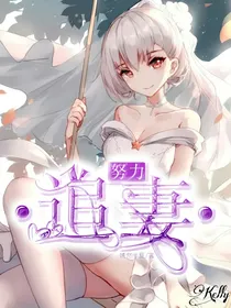努力追妻