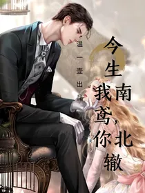 今生我南鸢，你北辙