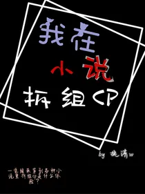 我在小说拆组CP