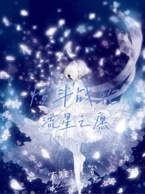 炫斗战轮：流星之愿