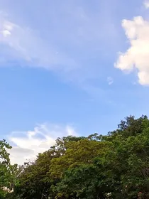 重生现代：努力赚钱