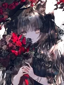 战联之风花雪月霜夜