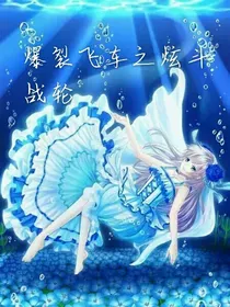 爆裂飞车之炫斗战轮